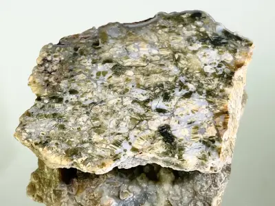 Chalcedon