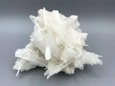 Skolecit