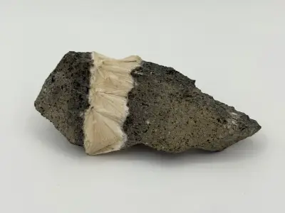 Pektolit