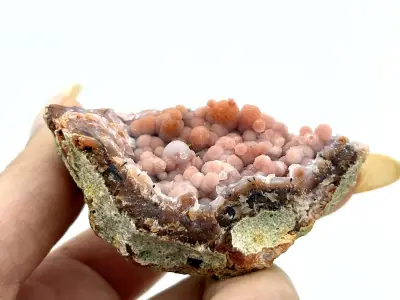 Chalcedon